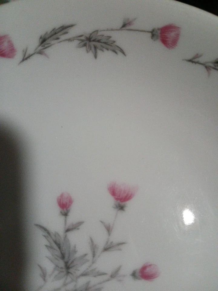 Decorative plate with floral patterns on a white background