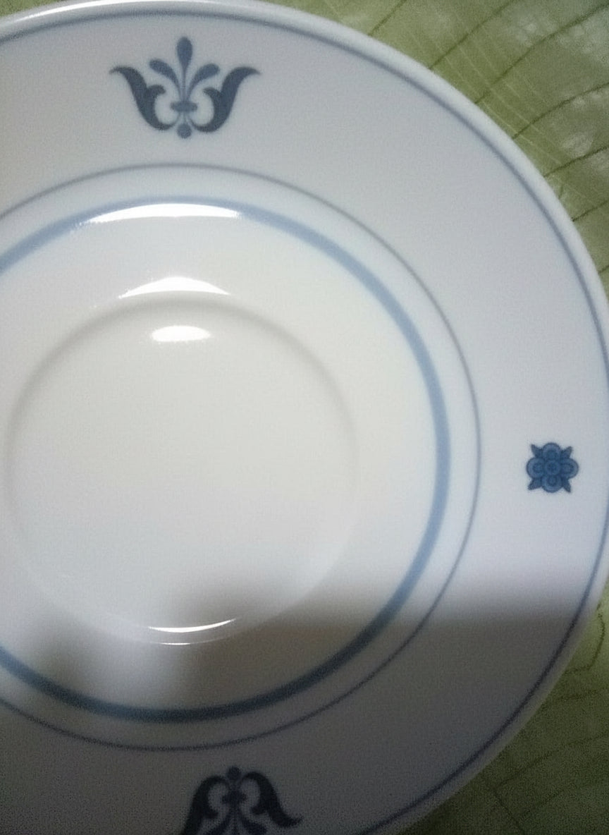 White plate with blue decorative patterns on a green surface