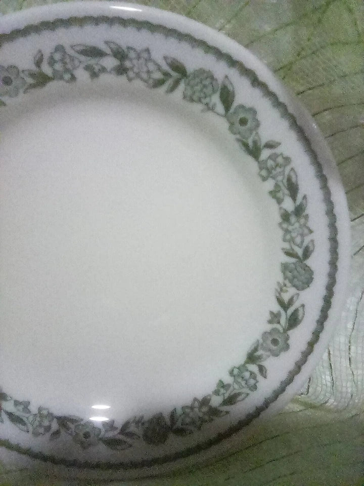 White plate with green floral pattern on a green leaf background