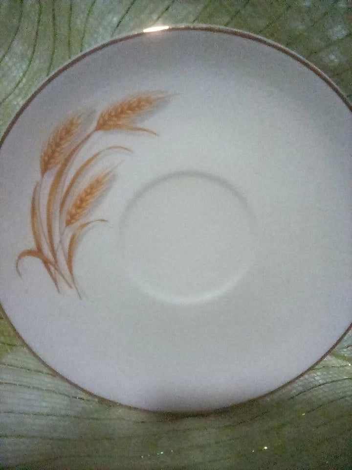 White plate with gold wheat design on a green glass surface